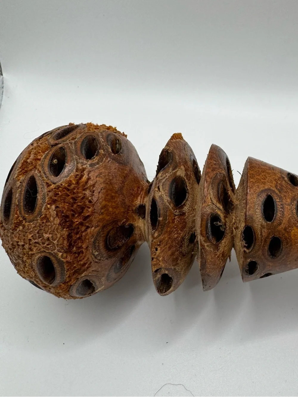 Vintage 1990 Banksia Pod Vase Turned Wood Seed Cone Bottle Studio Art MCM Brutal